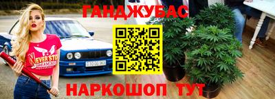 ALPHA PVP Будённовск