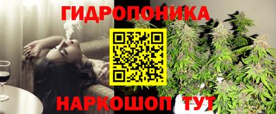 ALPHA PVP Будённовск