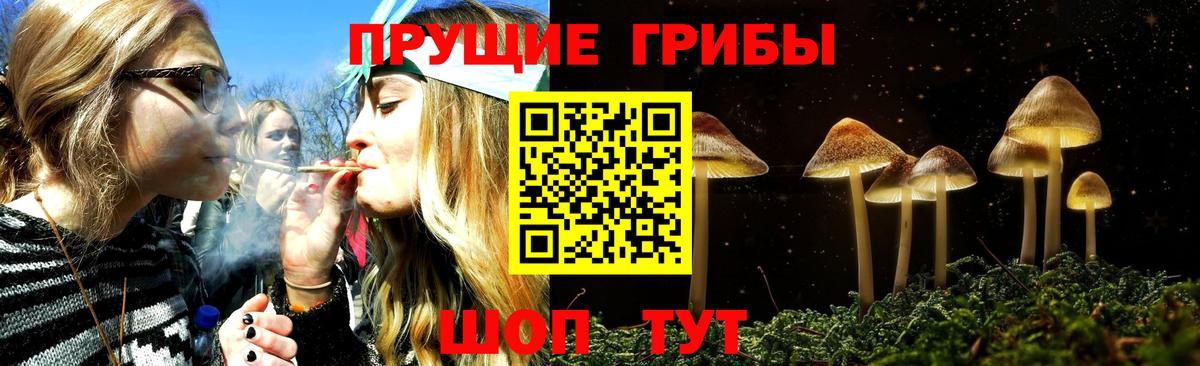 Псилоцибиновые грибы прущие грибы Минусинск