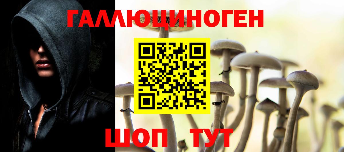 Псилоцибиновые грибы Cubensis  Вход с VPN  Галлюциногенные грибы GOLDEN TEACHER  Минусинск 